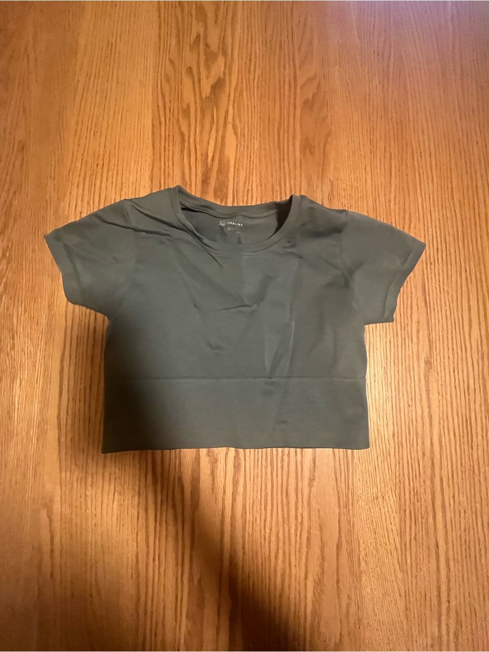 Aerie Women's Seamless Cropped Tee Shirt in Sage Green size S